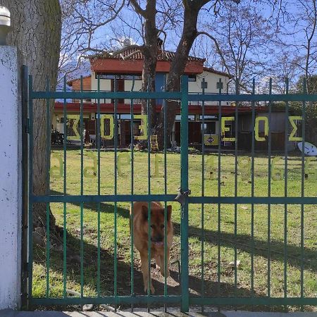 Summit Zero Hostel プラカ・リトホロ エクステリア 写真